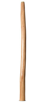 Earl Clements Didgeridoo (EC504)
